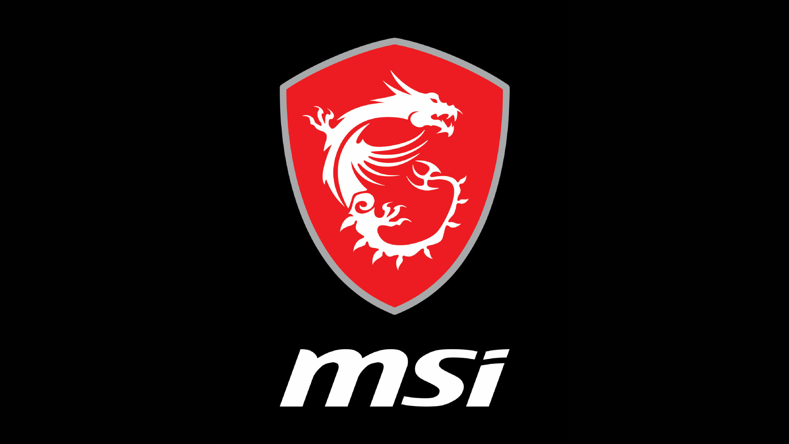 sponsor logo_msi