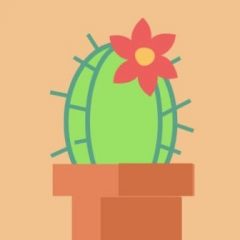 Cactusroseamber