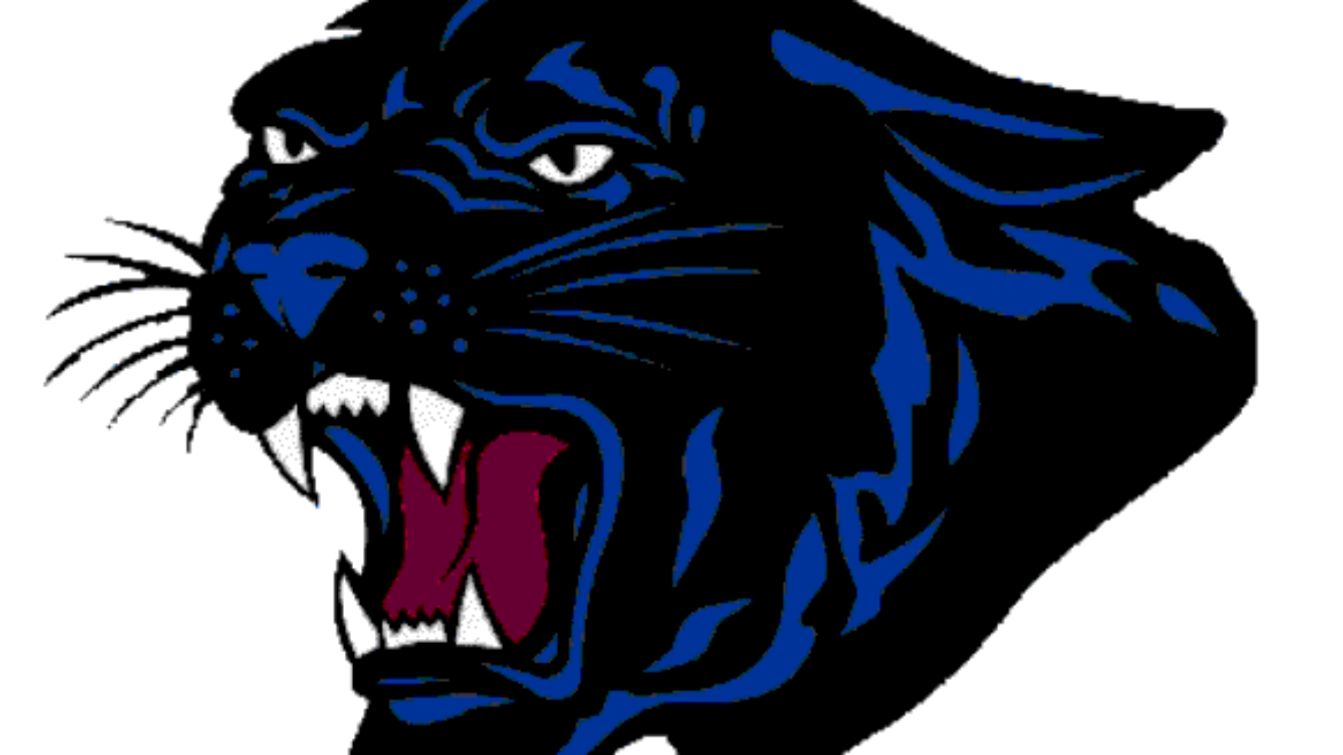 Franklin Panther