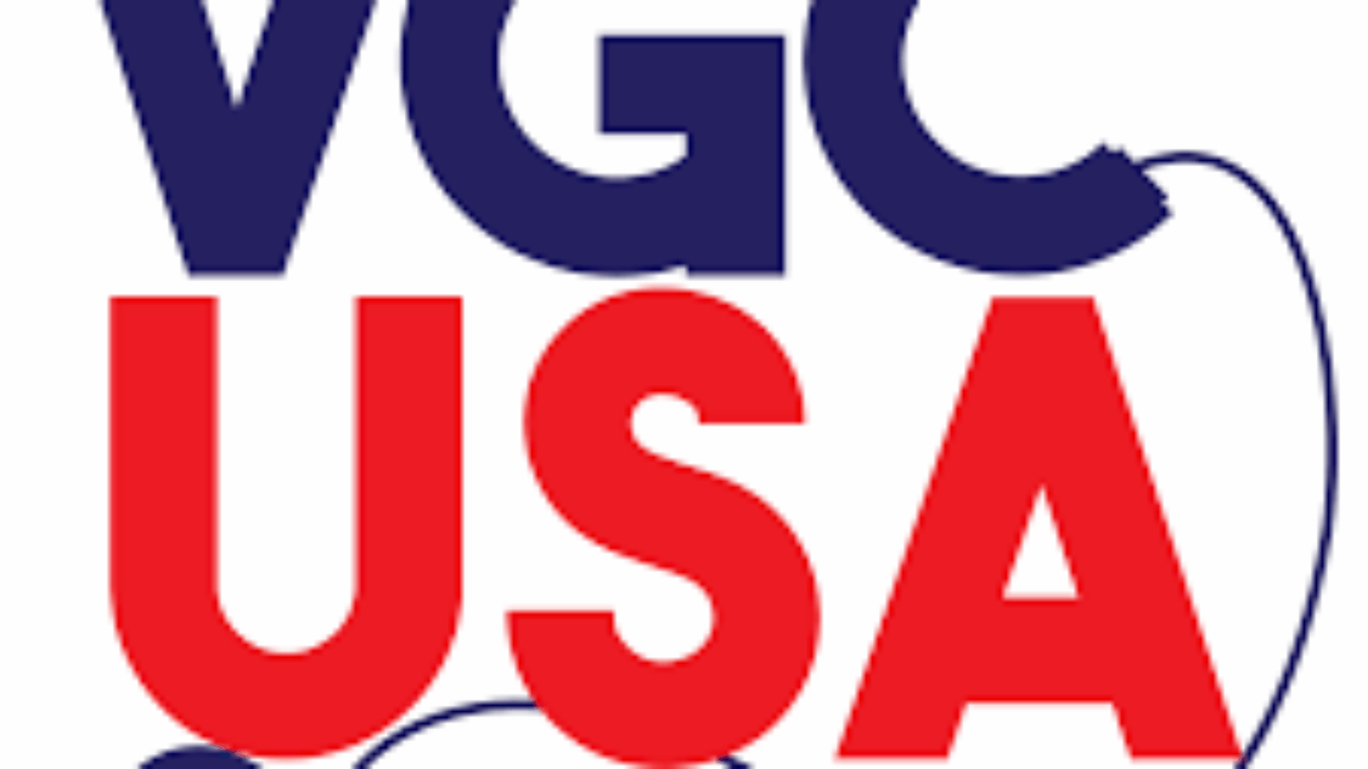VGCUSA BG